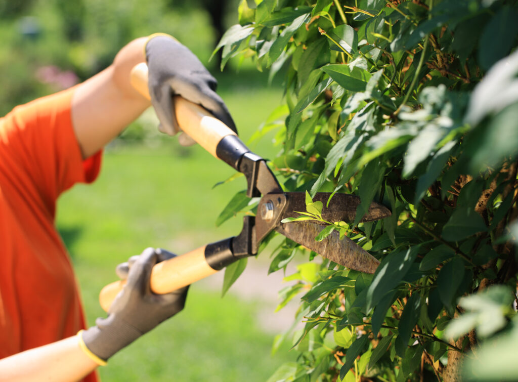 protect your vinyl siding