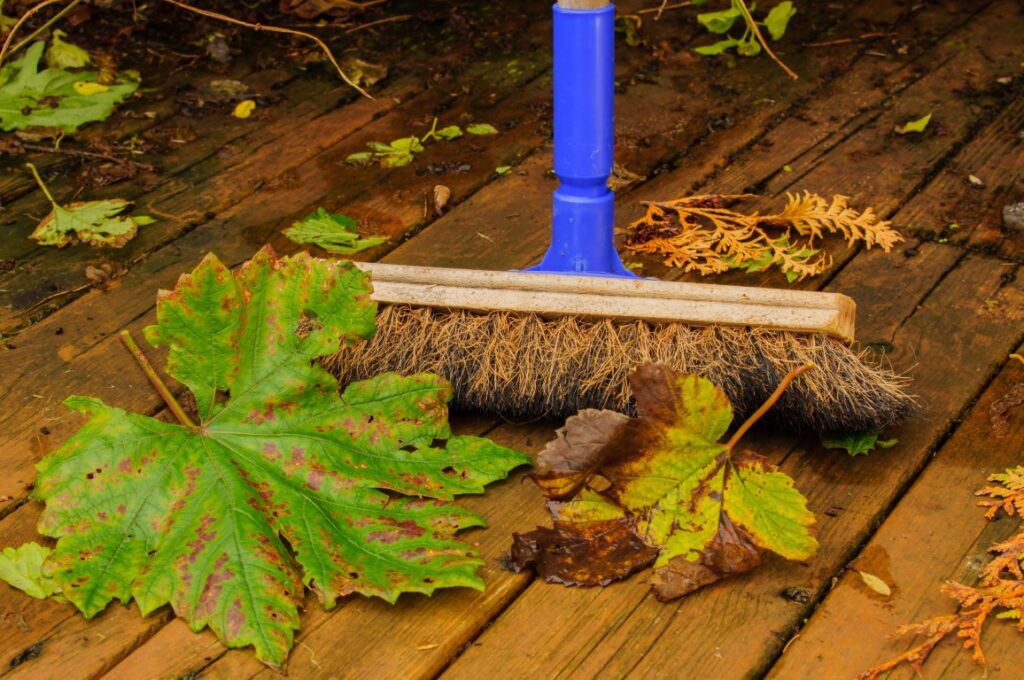 Seasonal Deck Maintenance: Ensuring The Longevity Of Your Investment Deck maintenance in Greenville, SC